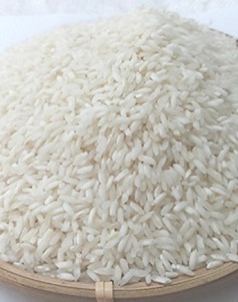 Tài Nguyên Chợ Đào 