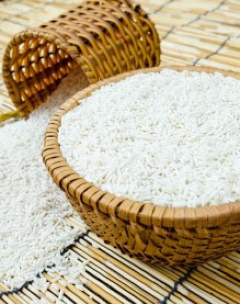 gạo tấm nếp